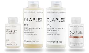 olaplex bond smoother no6